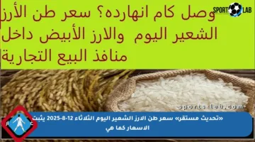 «تحديث مستقر» سعر طن الأرز الشعير اليوم الثلاثاء 12-8-2025 يثبت الأسعار كما هي
